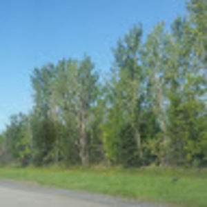 Meet your Posher, Angelo